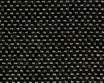dingo-59.jpg